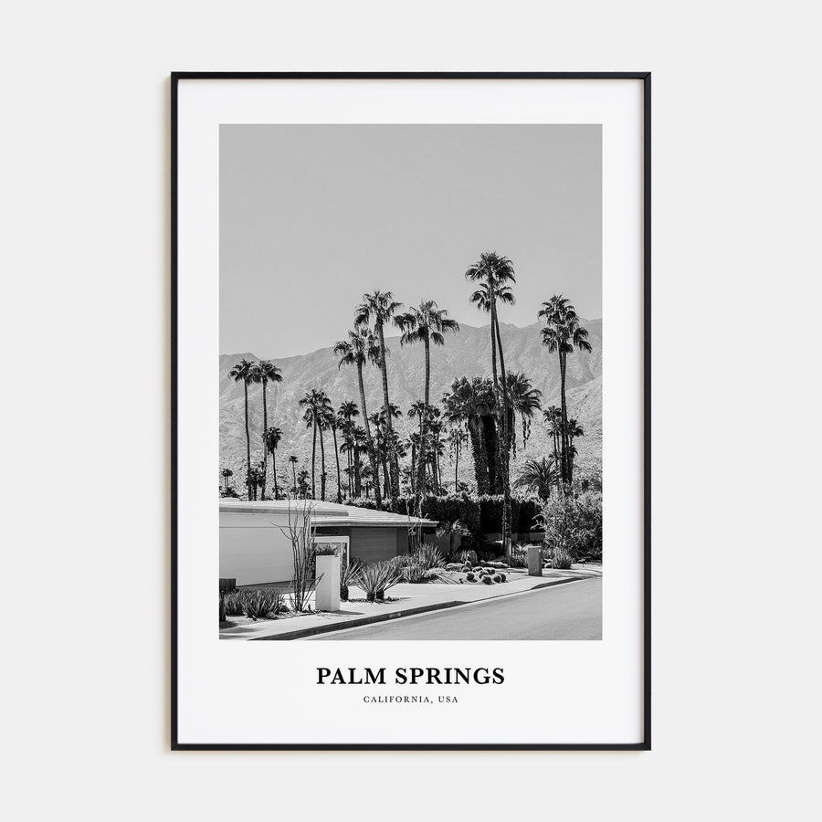 Palm Springs Portrait B&W No 3 Poster