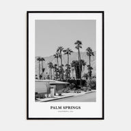 Palm Springs Portrait B&W No 3 Poster