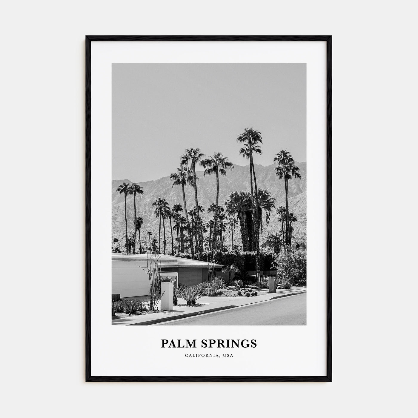 Palm Springs Portrait B&W No 3 Poster