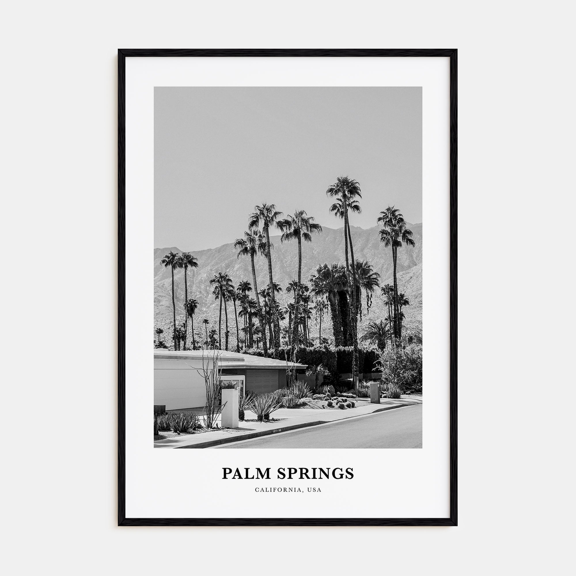 Palm Springs Portrait B&W No 3 Poster