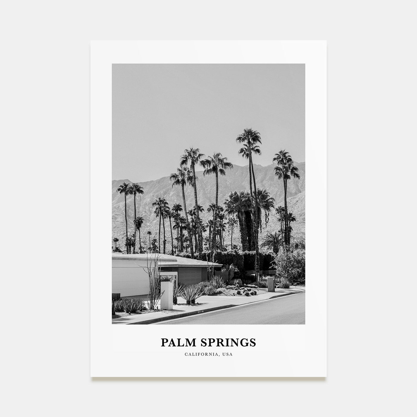 Palm Springs Portrait B&W No 3 Poster