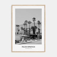 Palm Springs Portrait B&W No 3 Poster