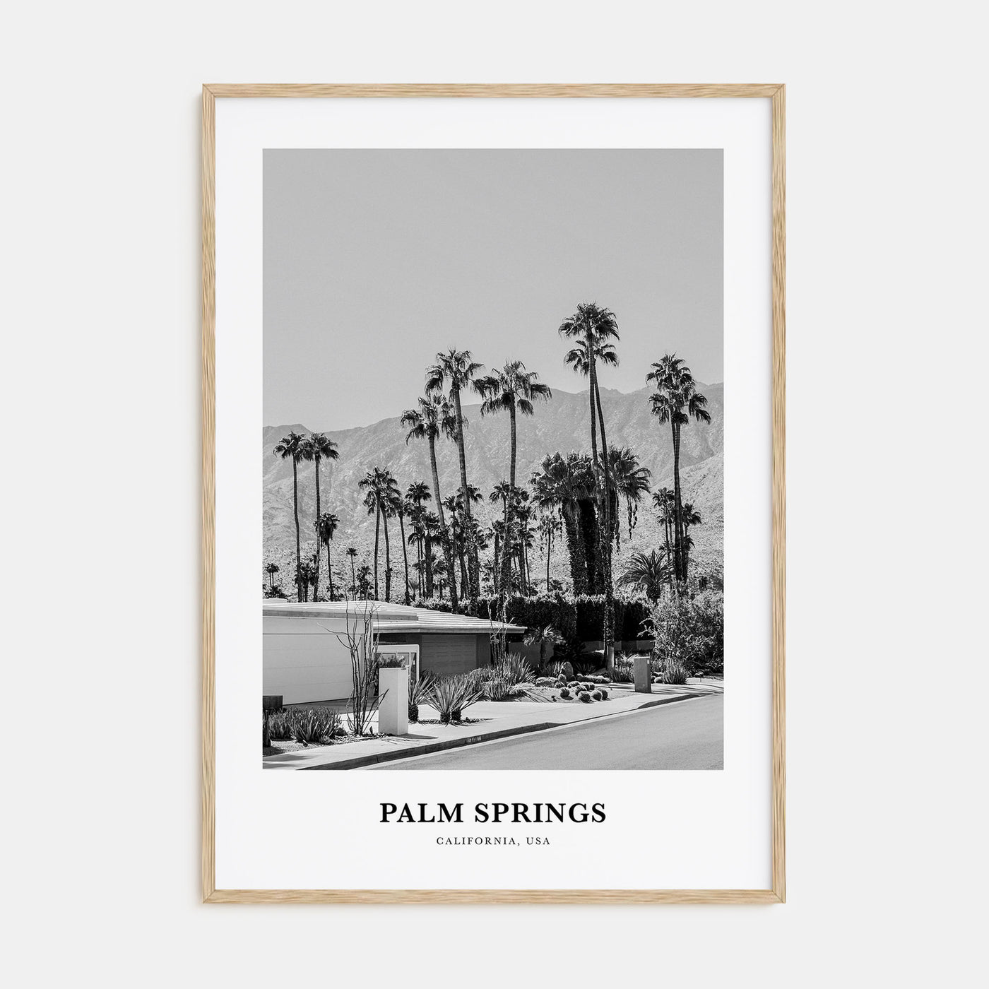 Palm Springs Portrait B&W No 3 Poster