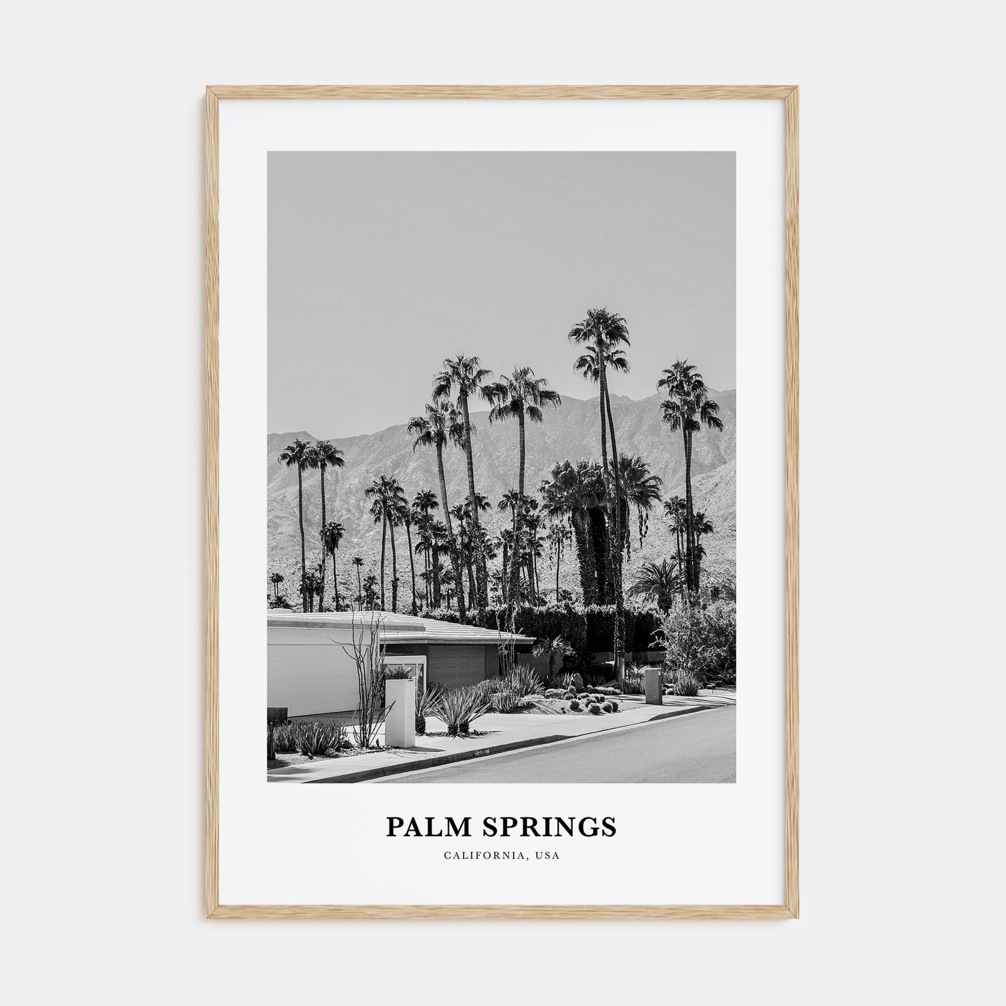 Palm Springs Portrait B&W No 3 Poster