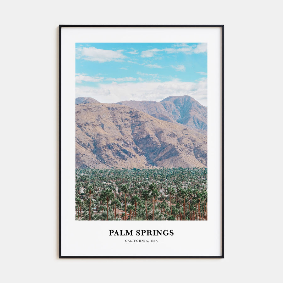 Palm Springs Portrait Color No 2 Poster