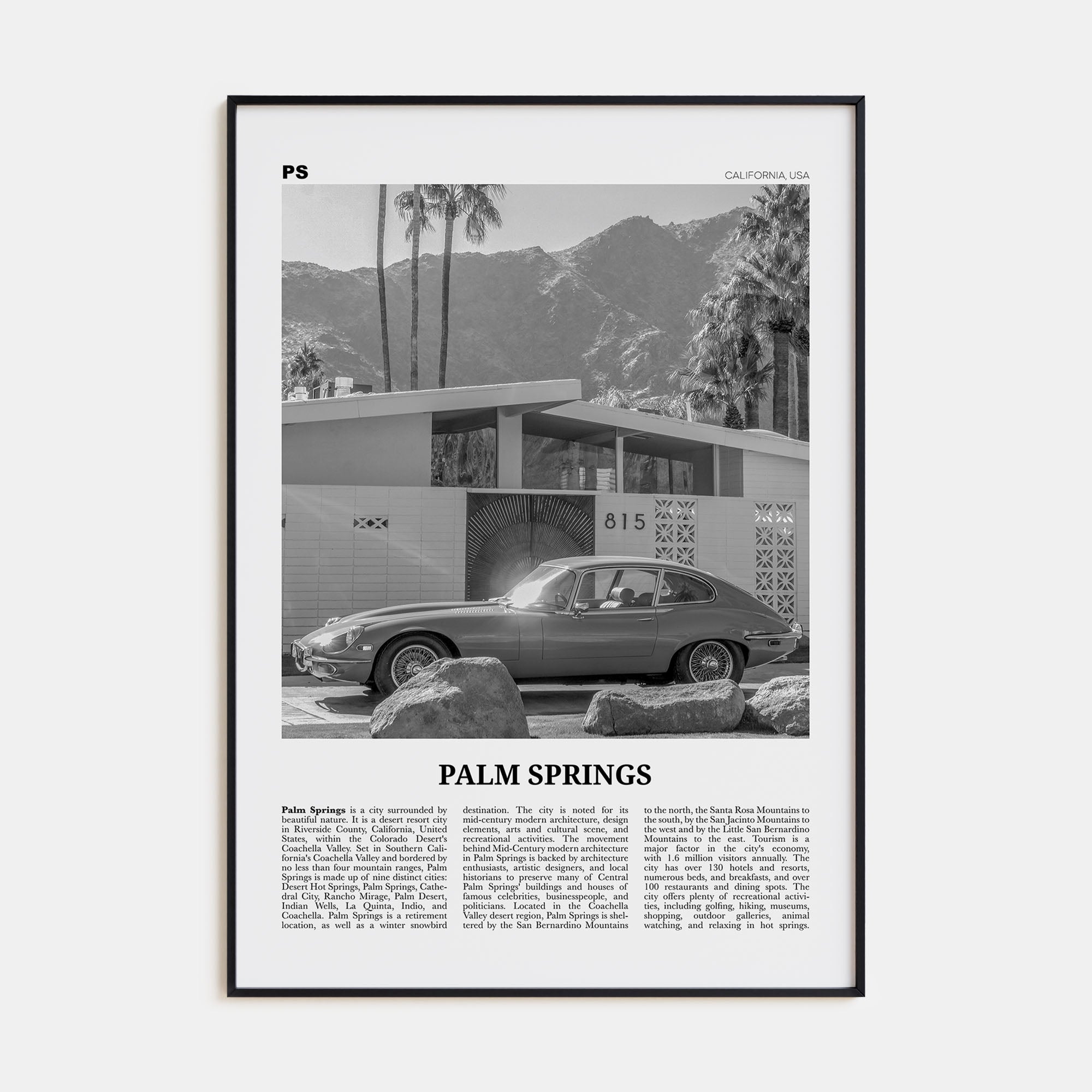 Palm Springs Travel B&W No 2 Poster