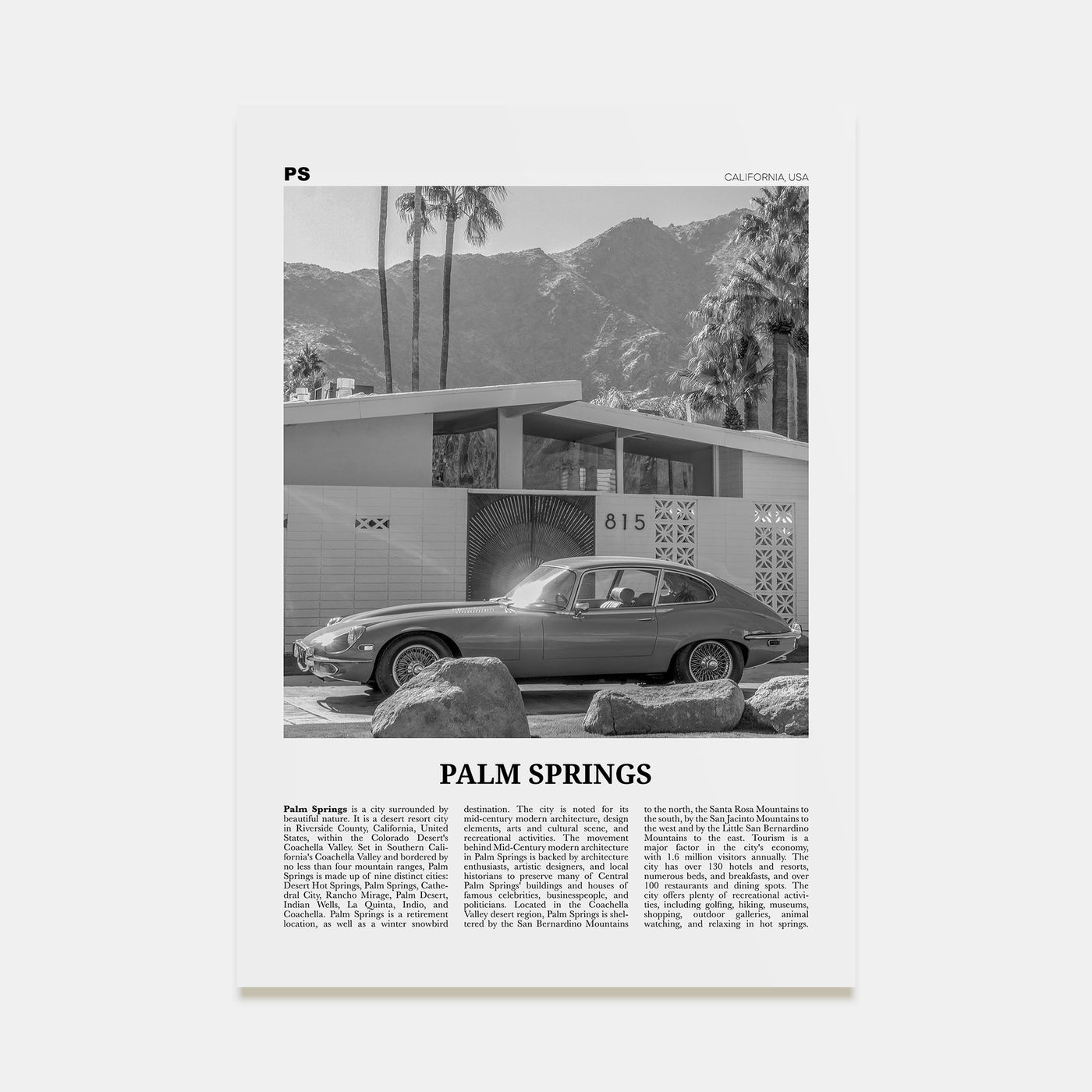 Palm Springs Travel B&W No 2 Poster