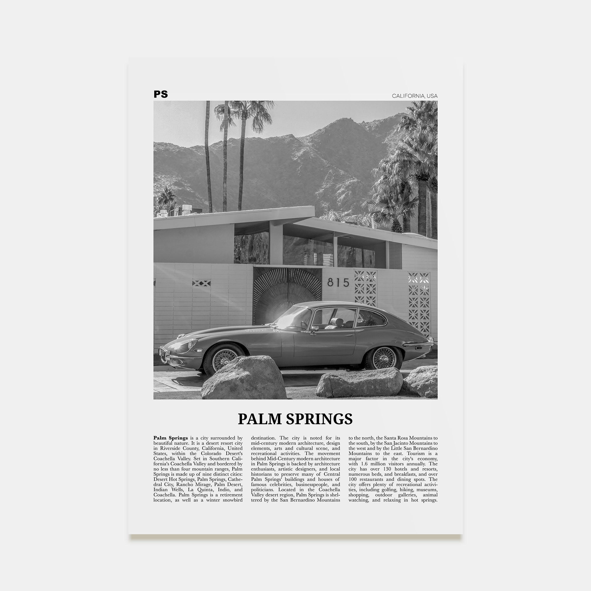 Palm Springs Travel B&W No 2 Poster