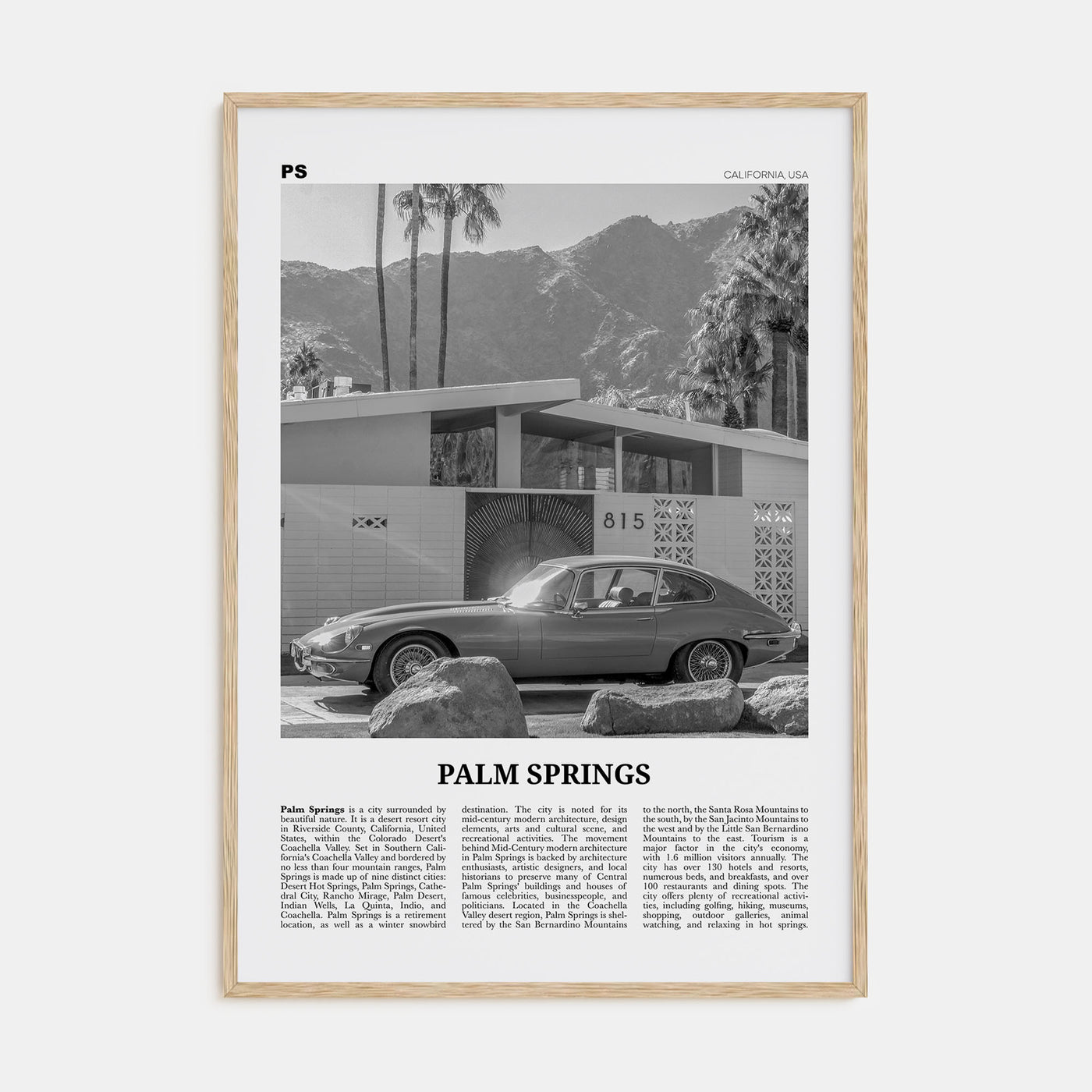 Palm Springs Travel B&W No 2 Poster