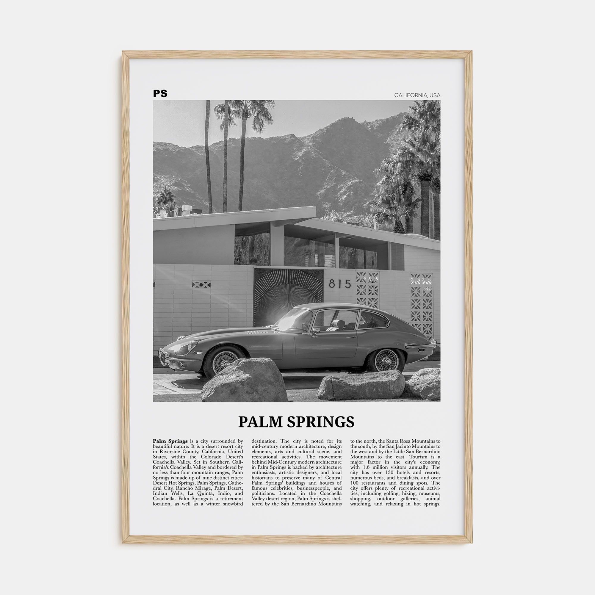 Palm Springs Travel B&W No 2 Poster