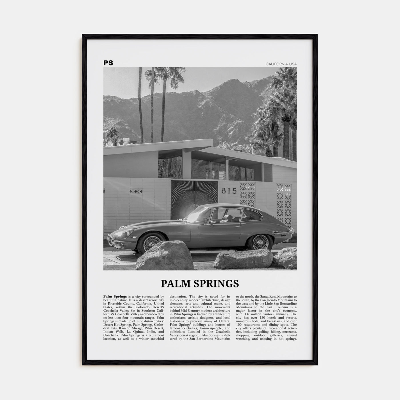Palm Springs Travel B&W No 2 Poster