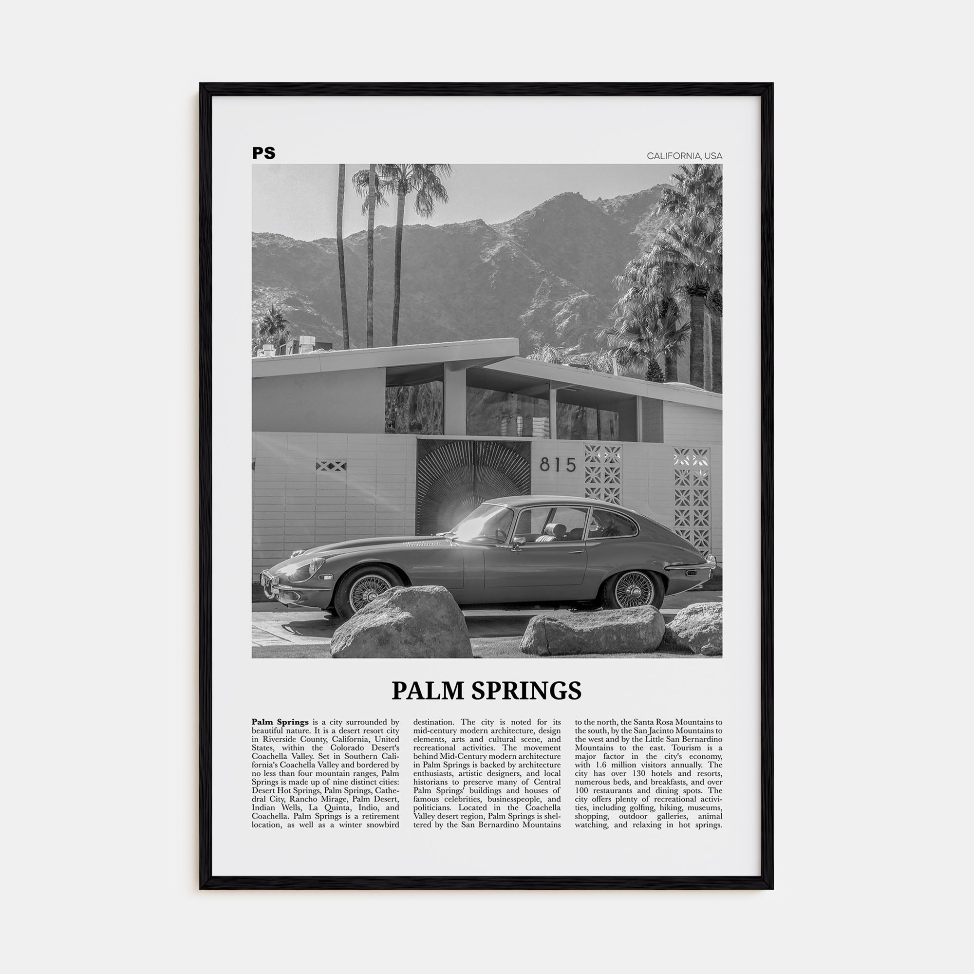 Palm Springs Travel B&W No 2 Poster