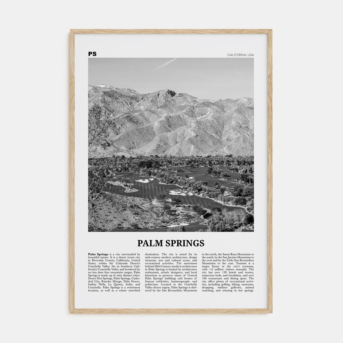 Palm Springs Travel B&W No 3 Poster