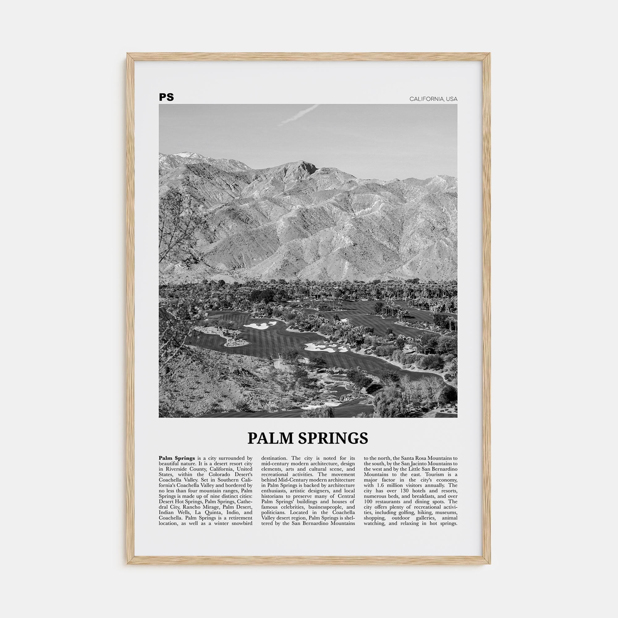 Palm Springs Travel B&W No 3 Poster