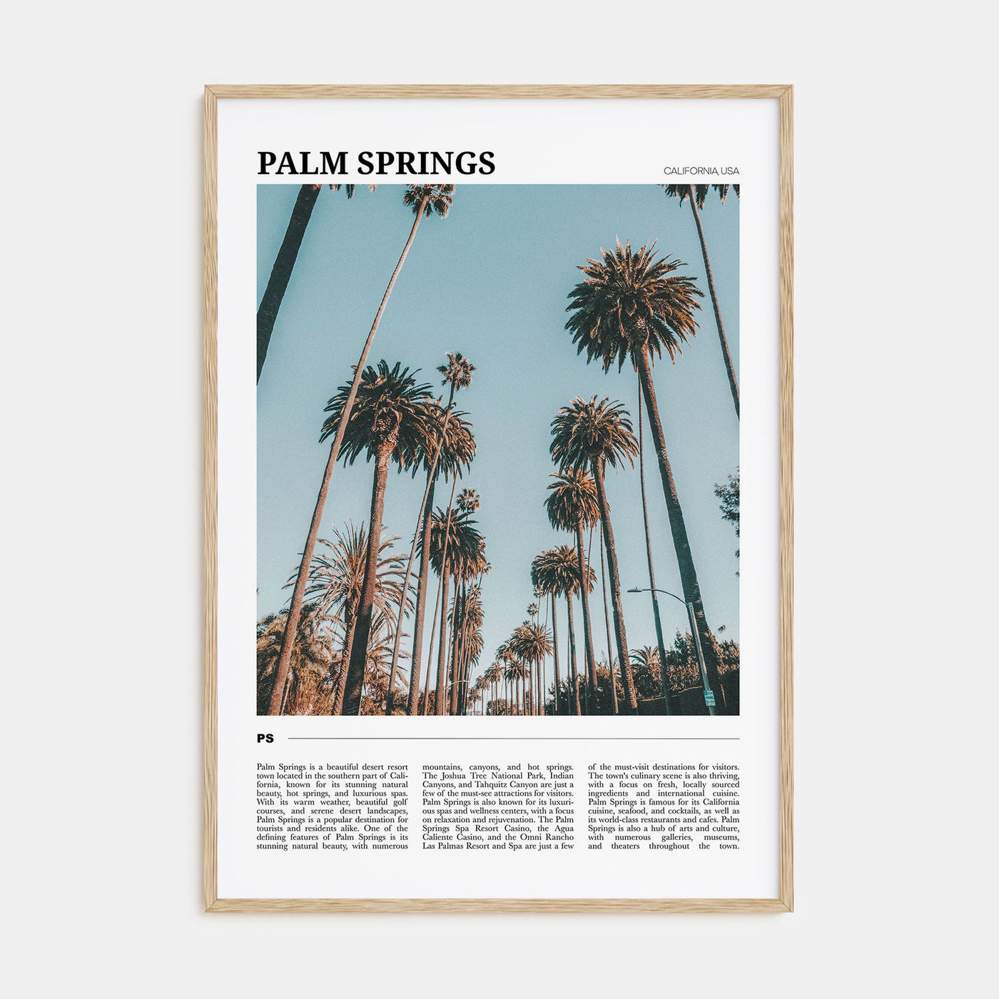 Palm Springs Travel Color No 1 Poster
