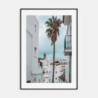 Palm Tree in Spanish Town Photo Color Poster