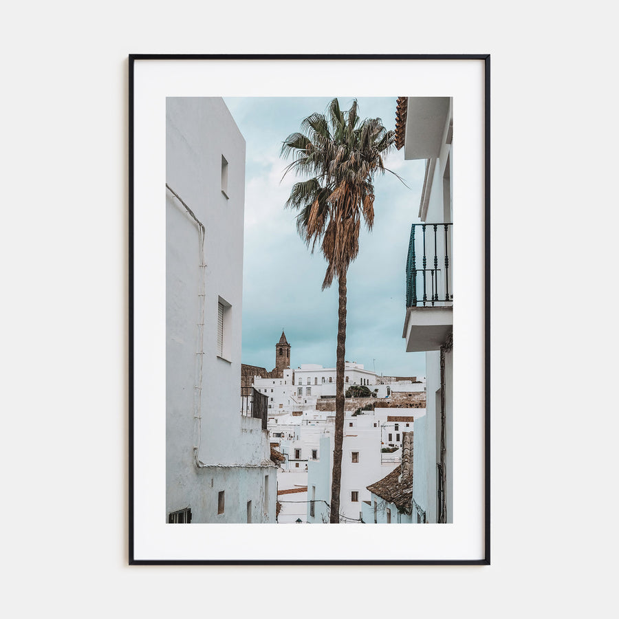 Palm Tree in Spanish Town Photo Color Poster