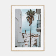 Palm Tree in Spanish Town Photo Color Poster