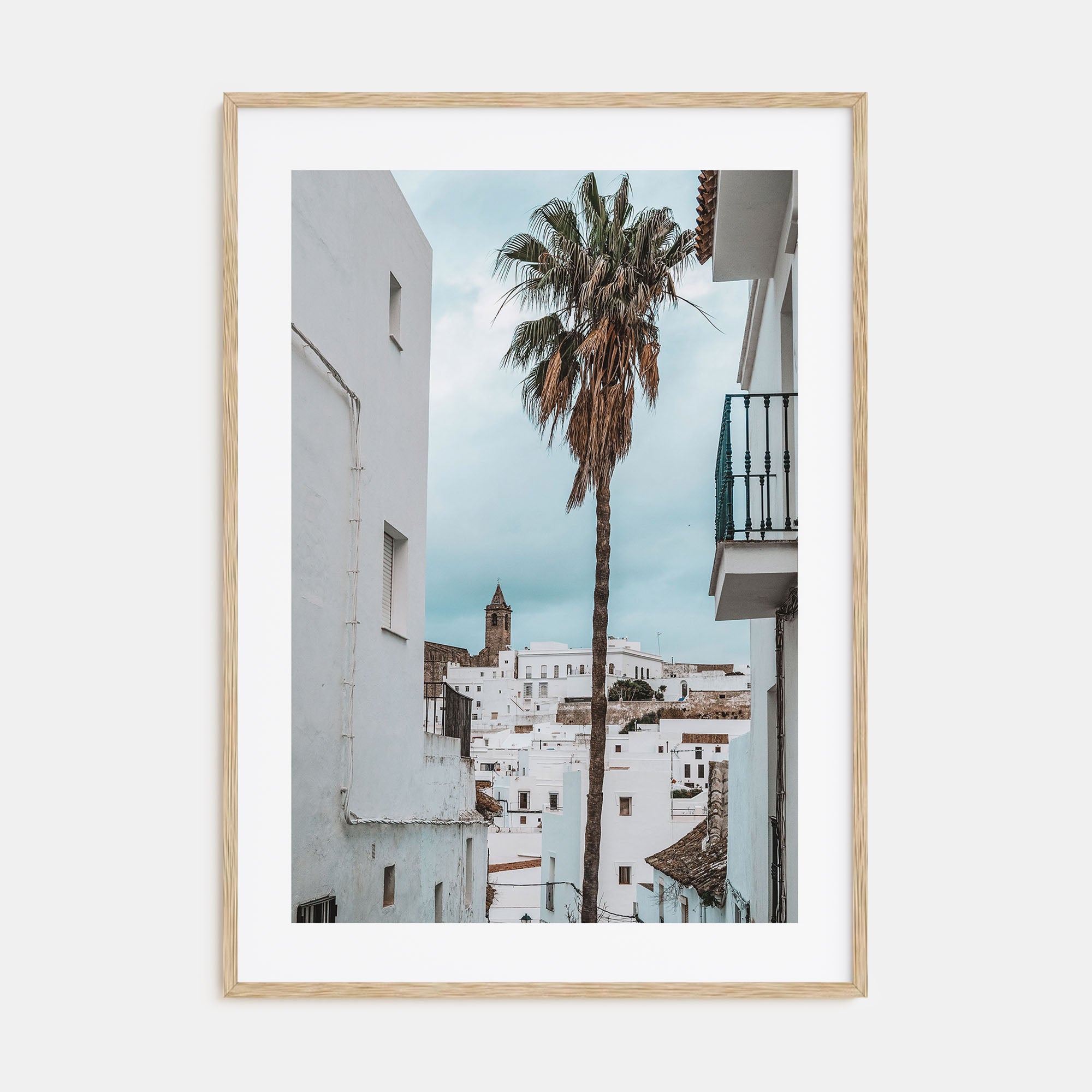 Palm Tree in Spanish Town Photo Color Poster
