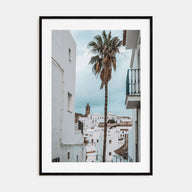 Palm Tree in Spanish Town Photo Color Poster