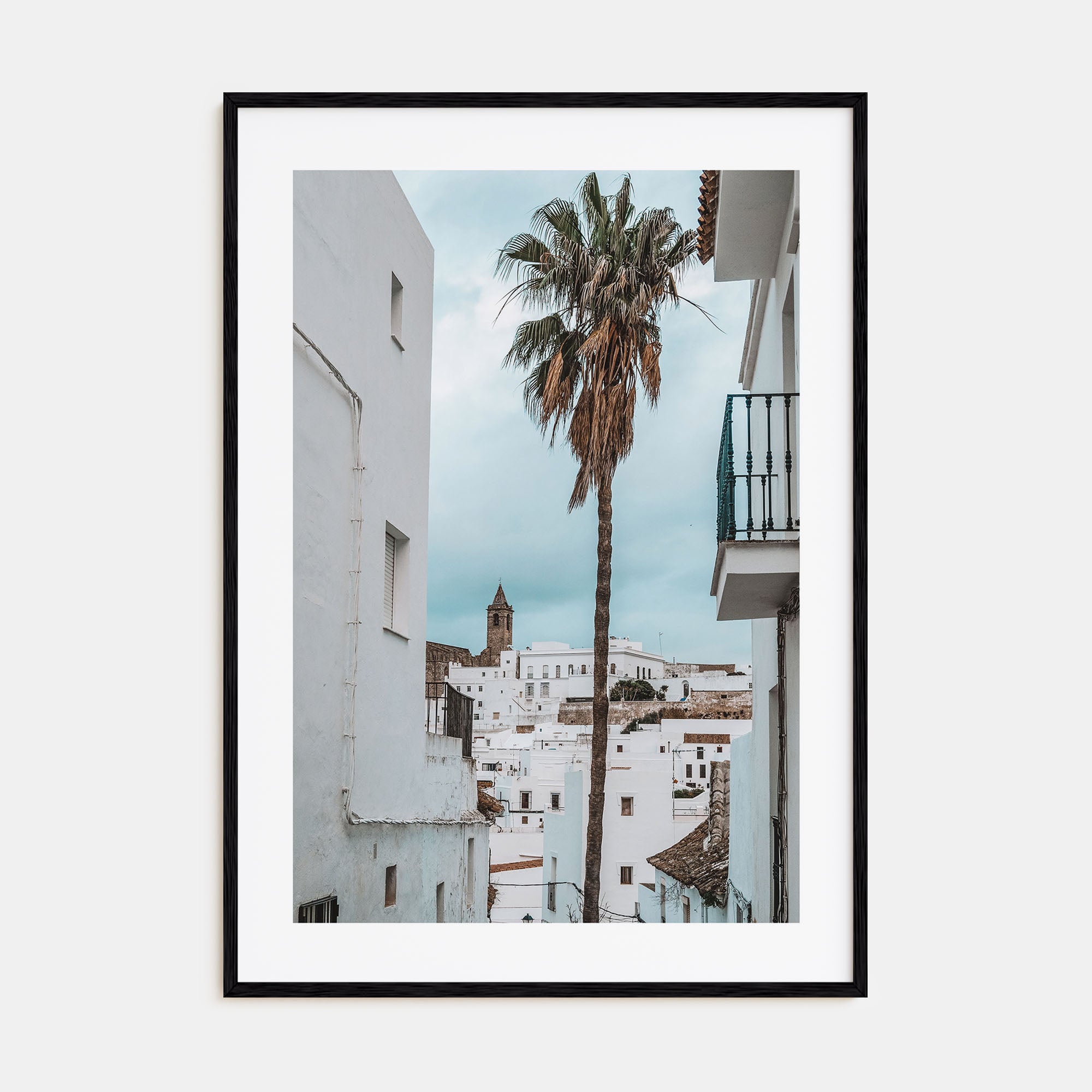 Palm Tree in Spanish Town Photo Color Poster
