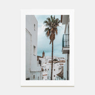 Palm Tree in Spanish Town Photo Color Poster