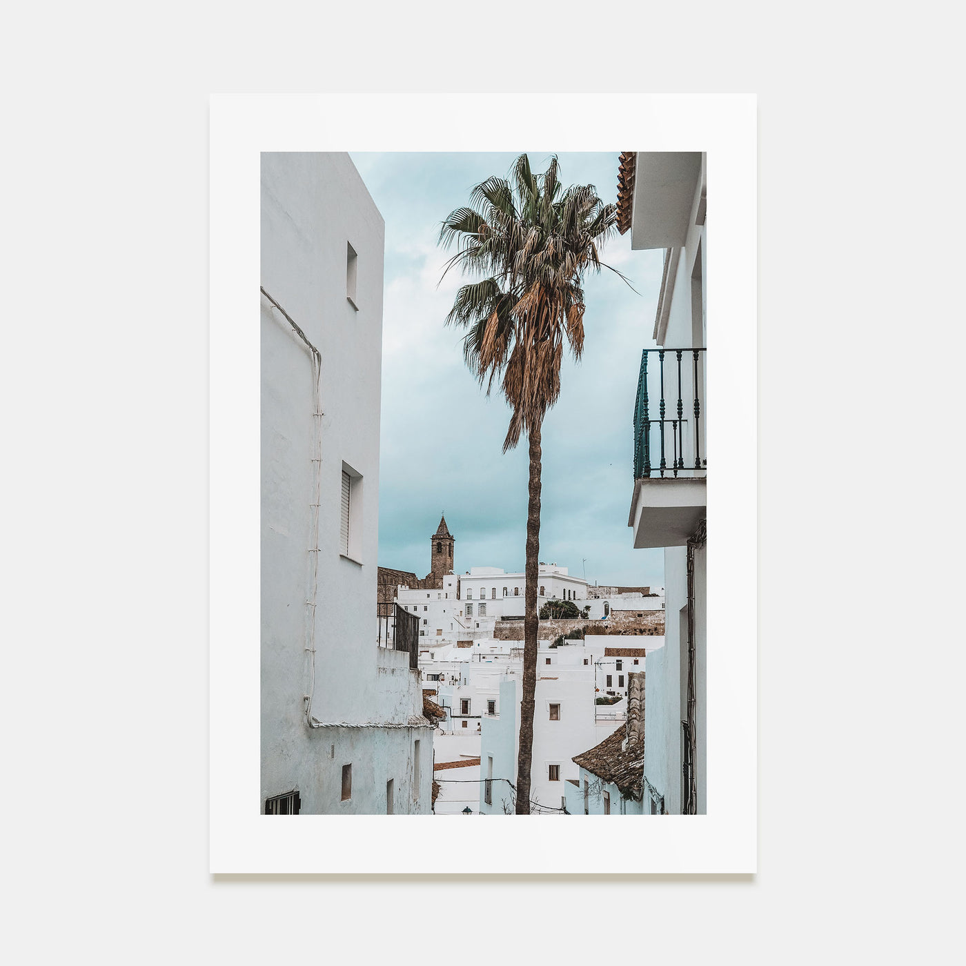 Palm Tree in Spanish Town Photo Color Poster
