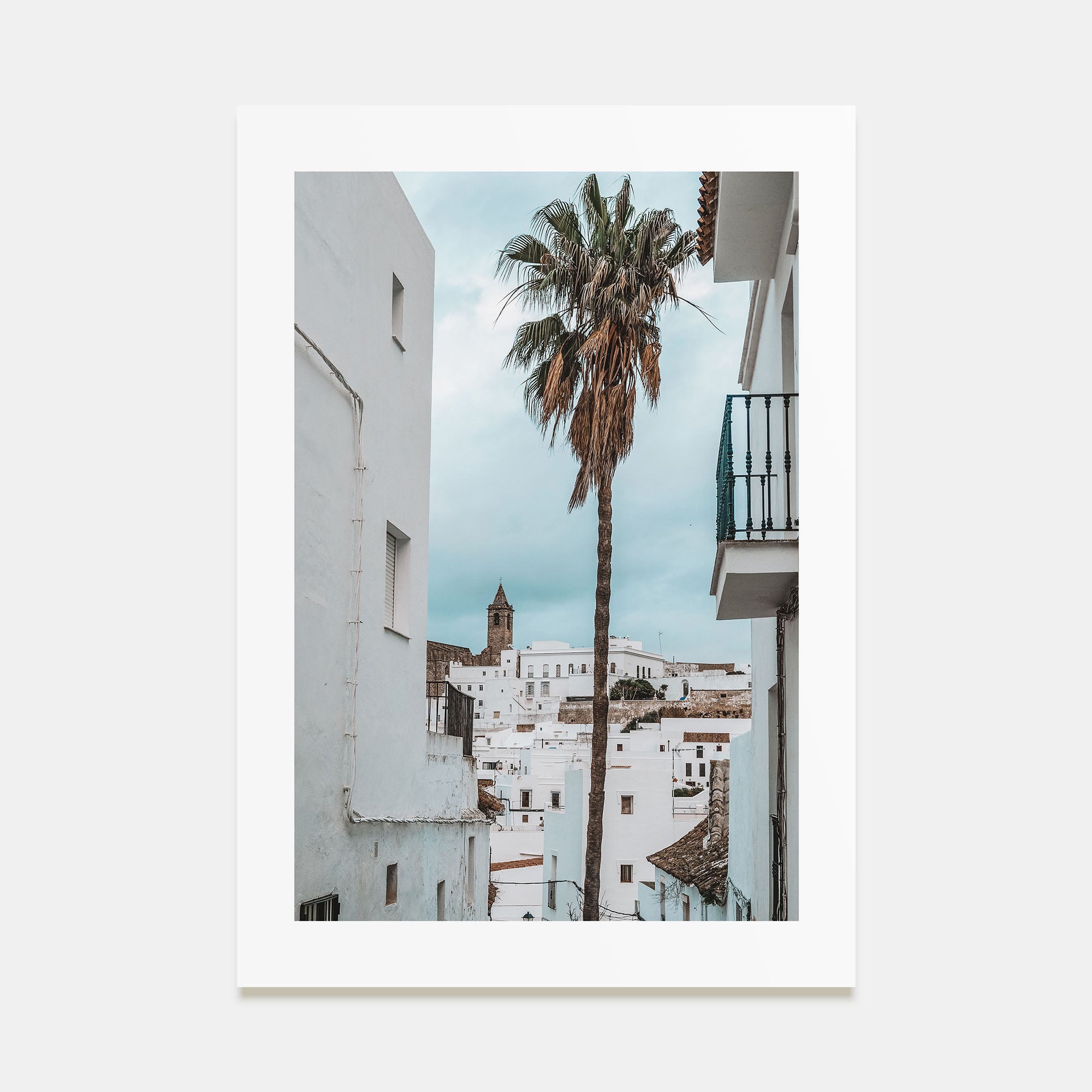 Palm Tree in Spanish Town Photo Color Poster