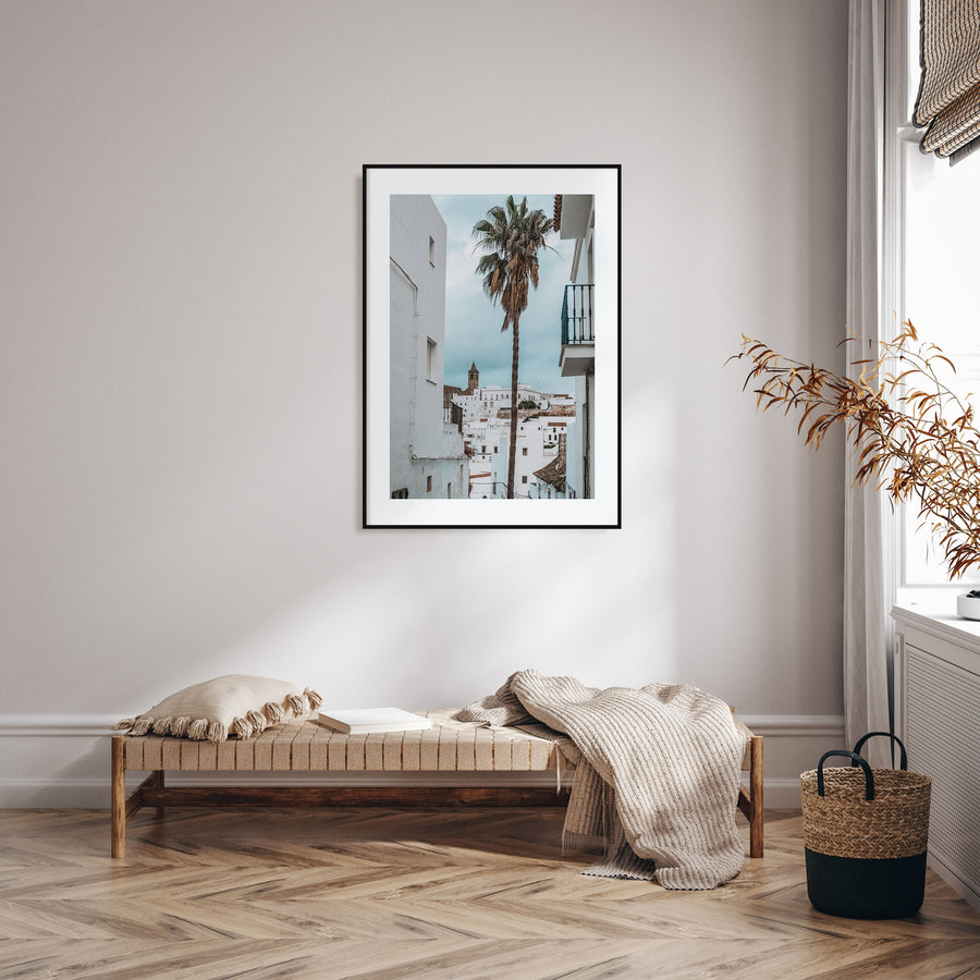 Palm Tree in Spanish Town Photo Color Poster