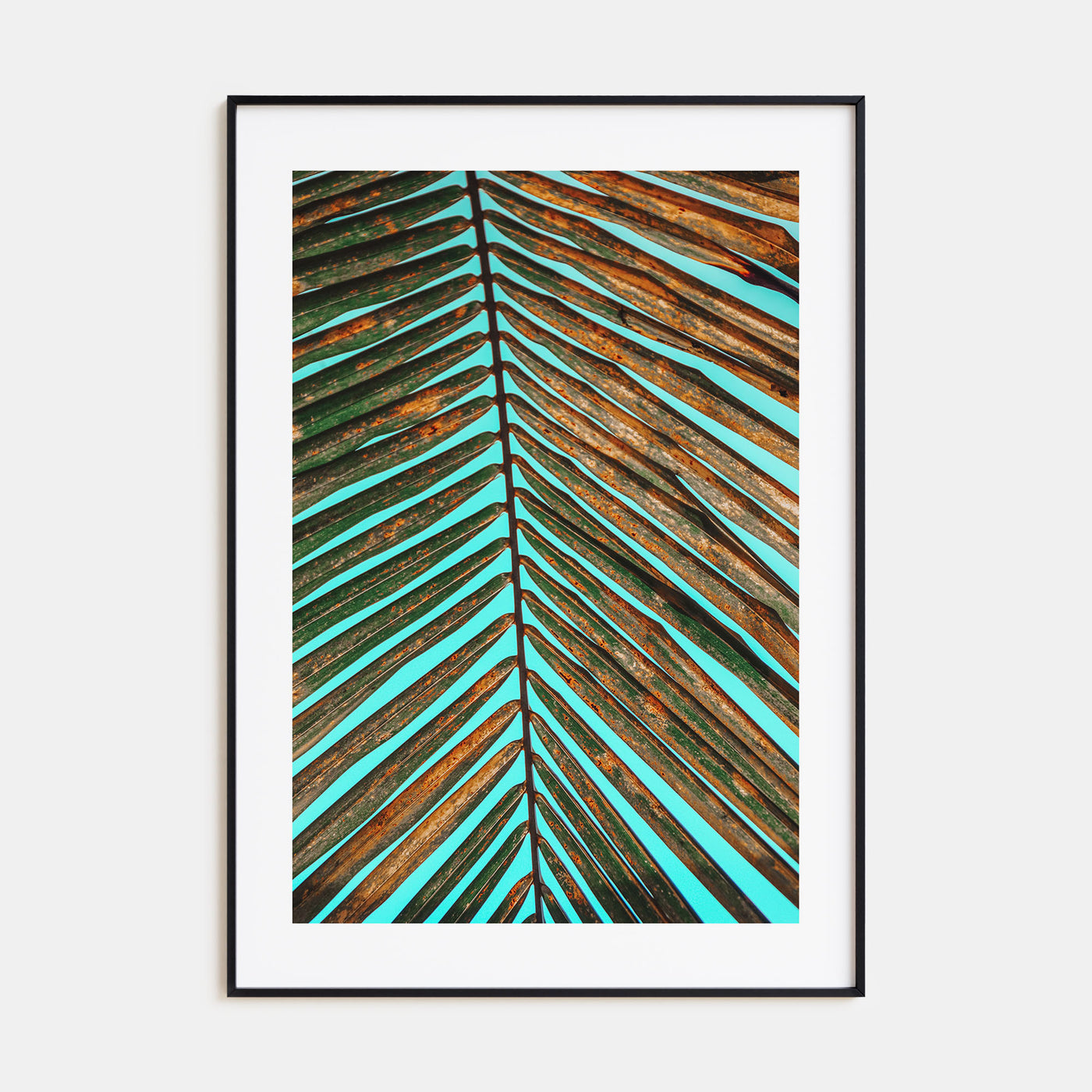 Palm Tree Leaf Photo Color Poster