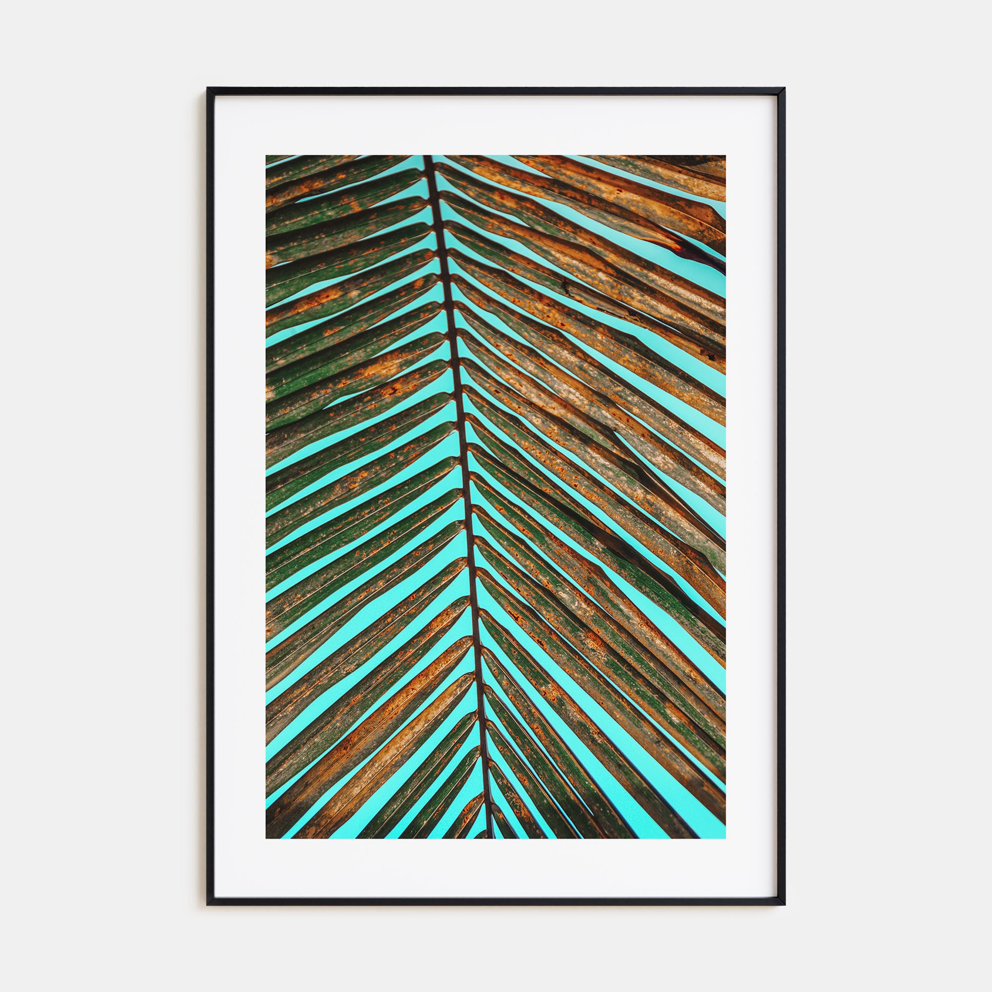Palm Tree Leaf Photo Color Poster