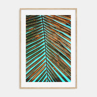 Palm Tree Leaf Photo Color Poster
