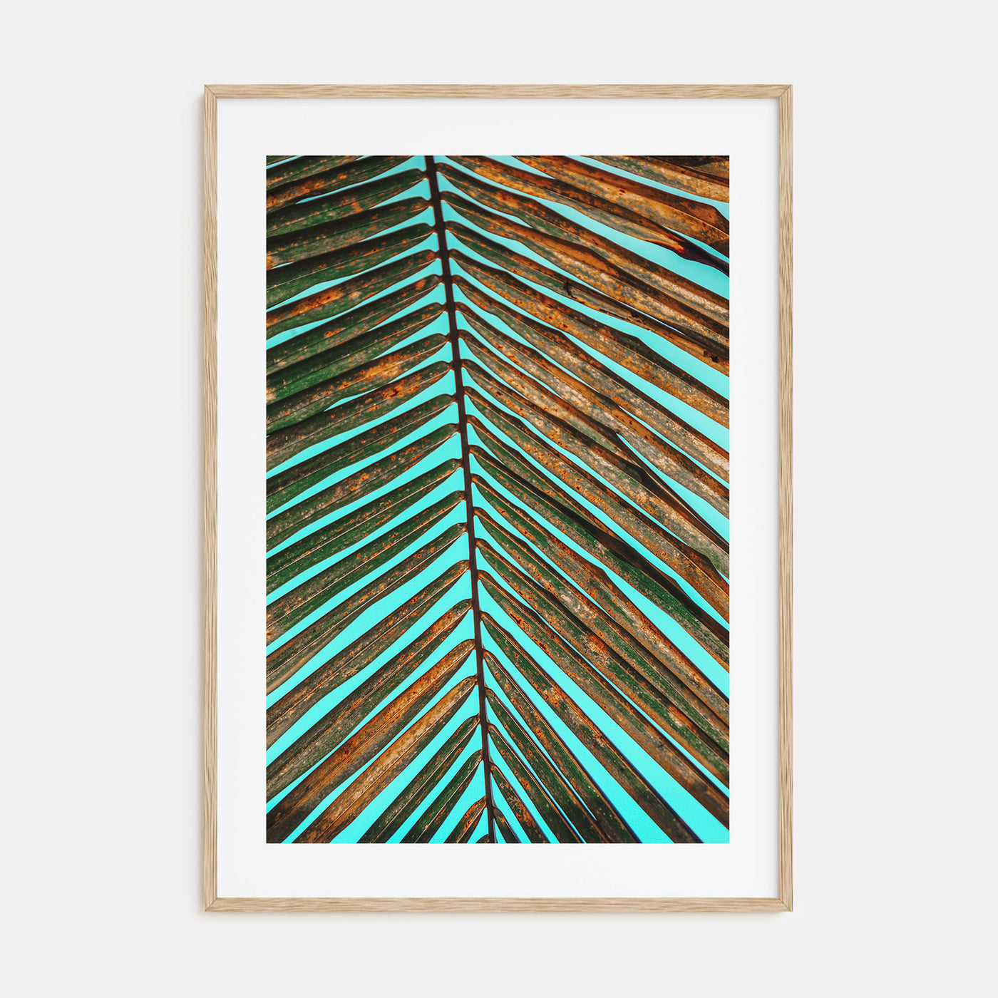 Palm Tree Leaf Photo Color Poster