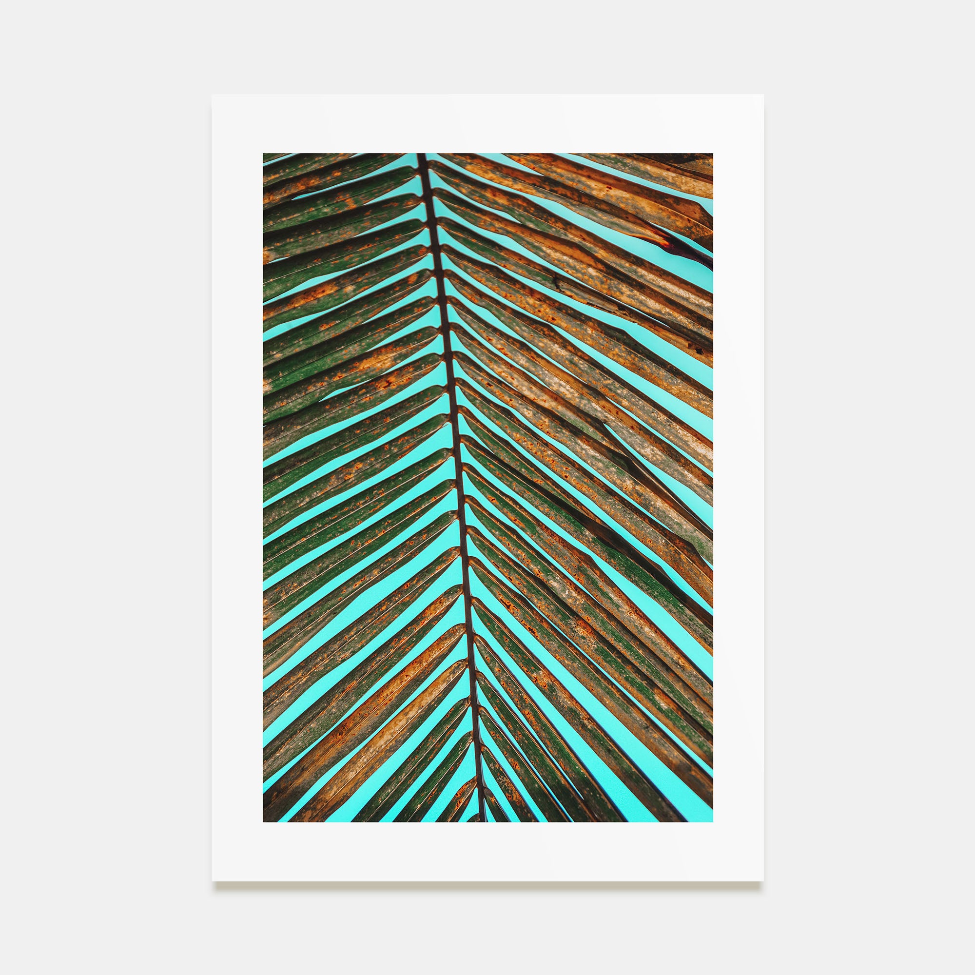 Palm Tree Leaf Photo Color Poster