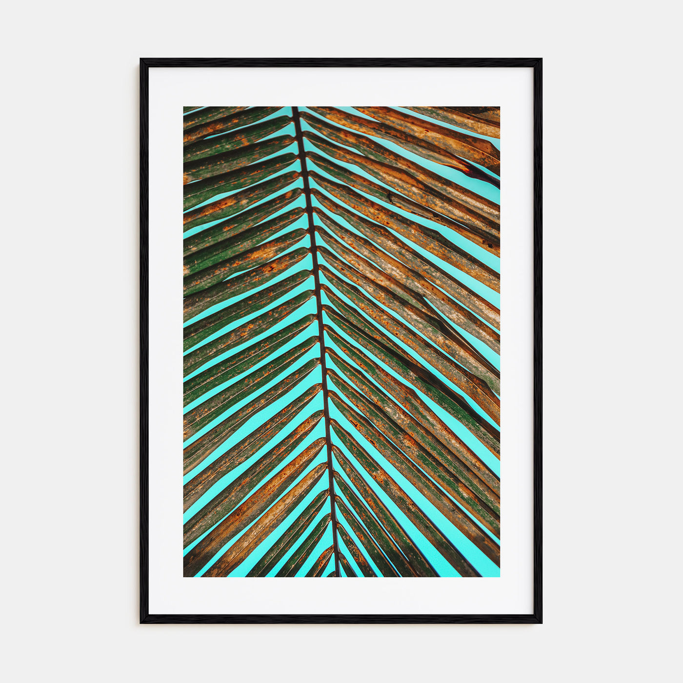 Palm Tree Leaf Photo Color Poster