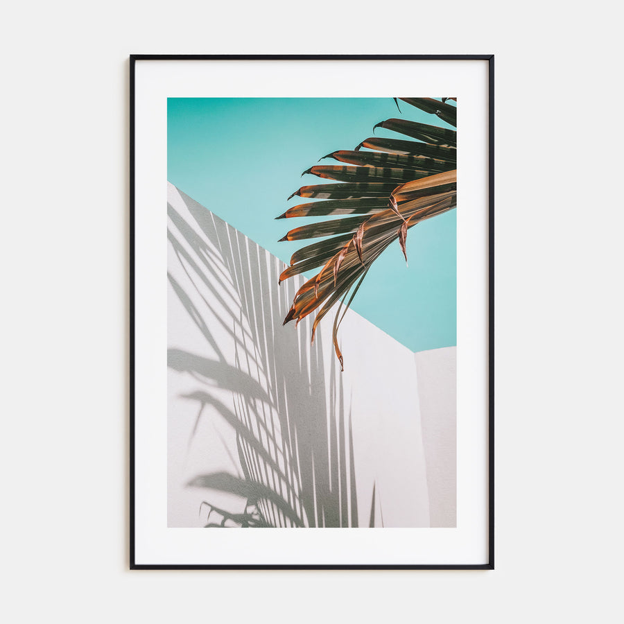 Palm Tree Shadow Photo Color Poster