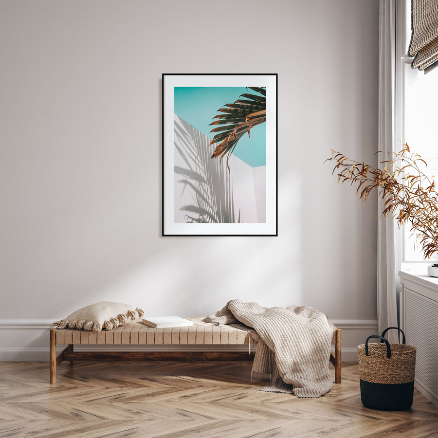 Palm Tree Shadow Photo Color Poster