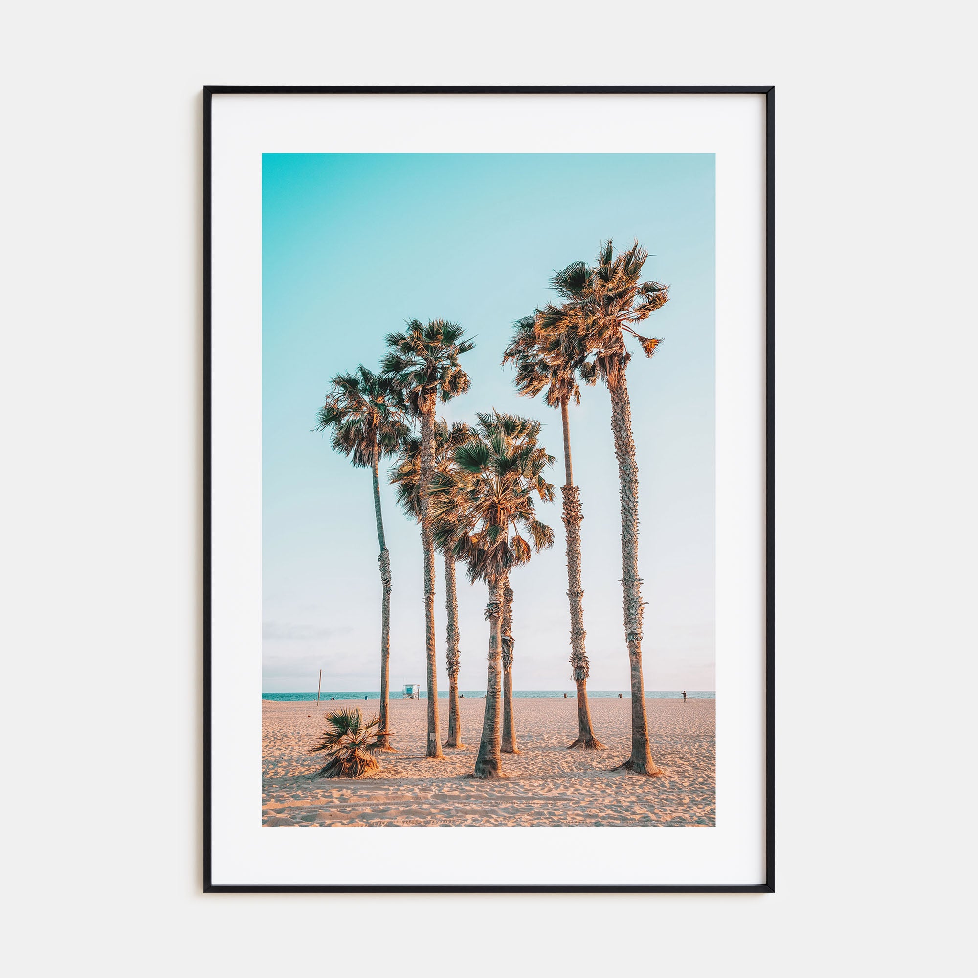 Palm Trees at the Beach Photo Color Poster