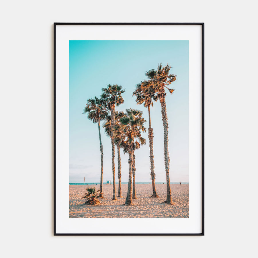 Palm Trees at the Beach Photo Color Poster