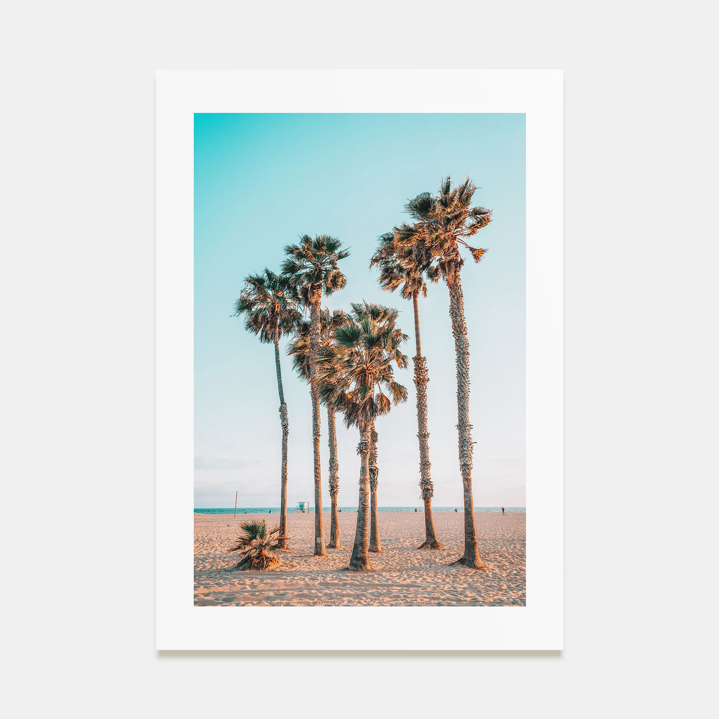 Palm Trees at the Beach Photo Color Poster