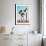 Palm Trees at the Beach Photo Color Poster