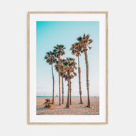Palm Trees at the Beach Photo Color Poster