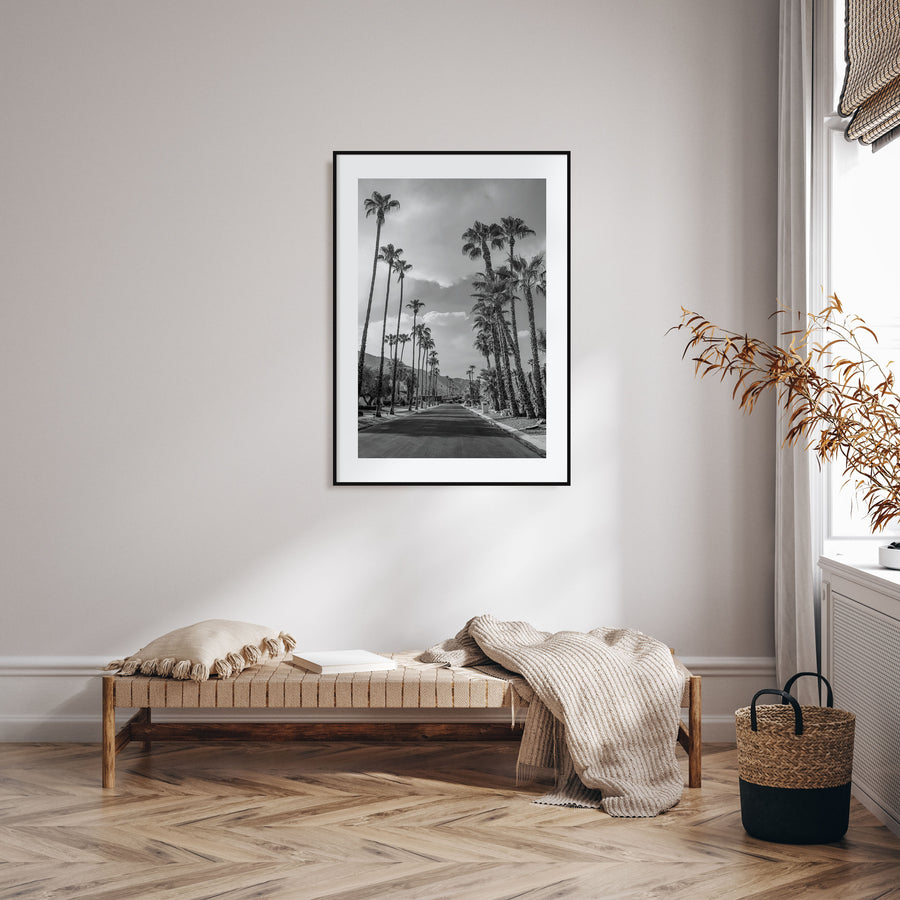 Palm Trees on Road Photo B&W Poster