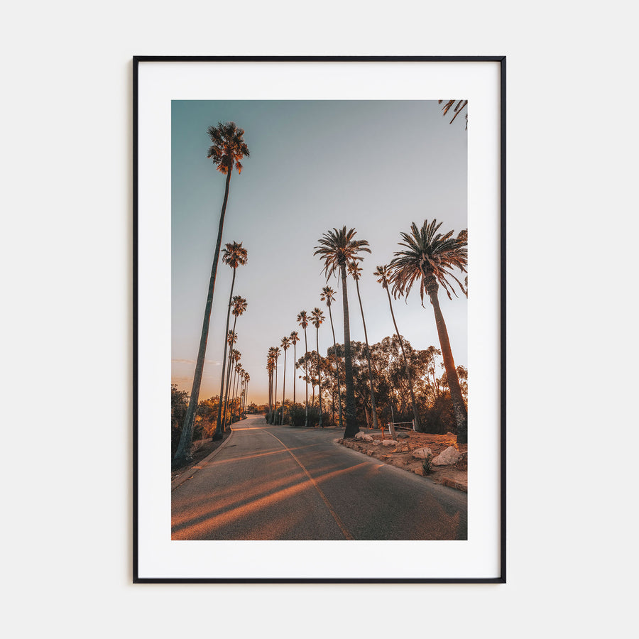 Palm Trees on Road Photo Color Poster