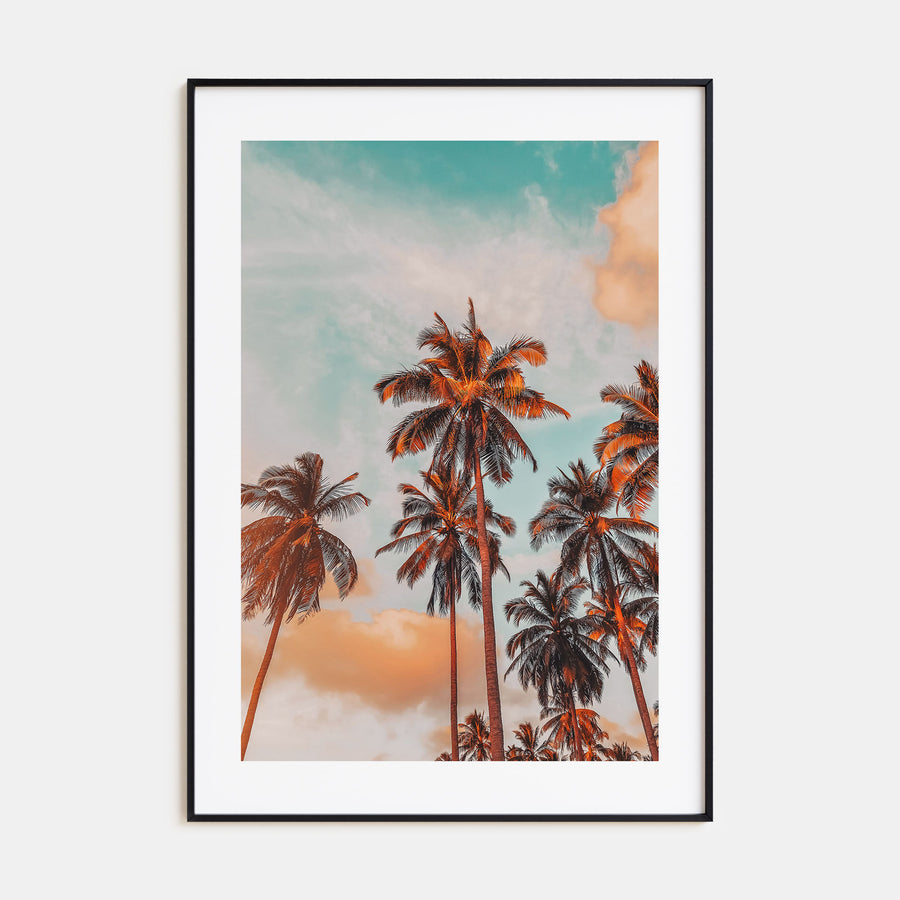 Palm Trees Photo Color No 10 Poster