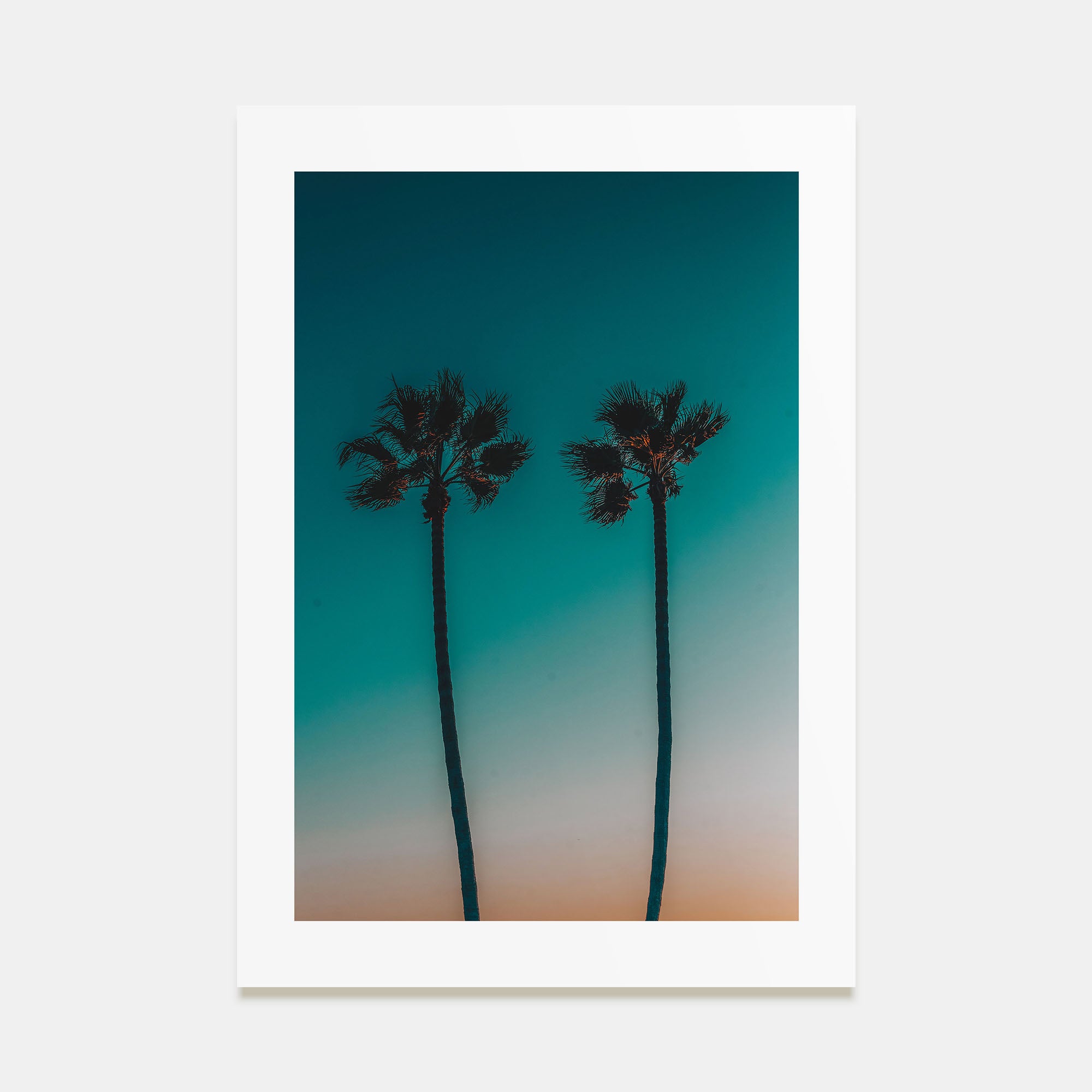 Palm Trees Photo Color No 11 Poster