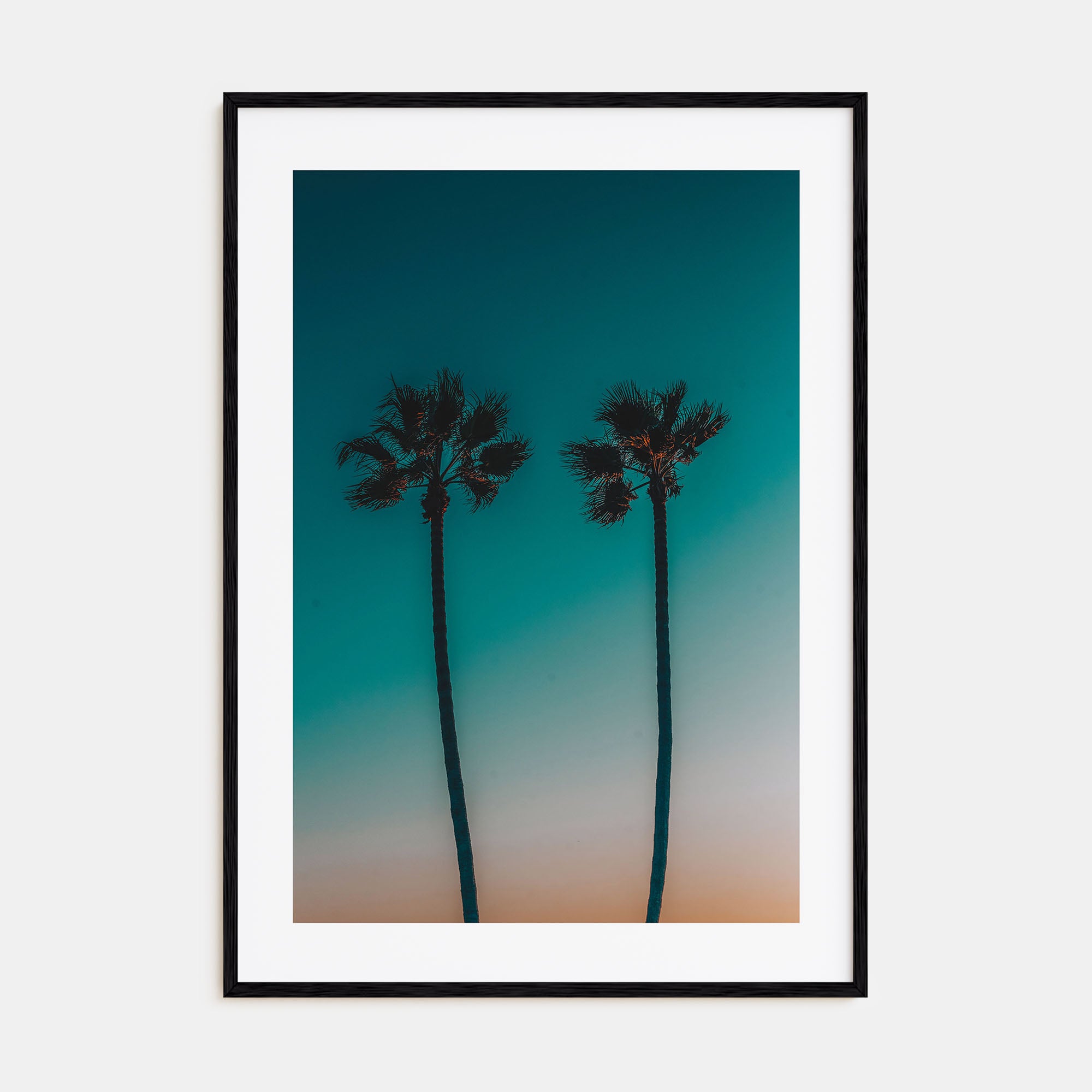Palm Trees Photo Color No 11 Poster