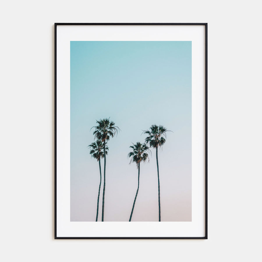 Palm Trees Photo Color No 1 Poster