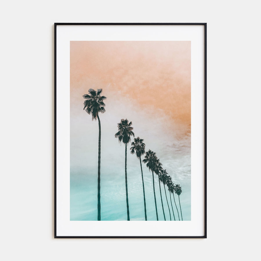 Palm Trees Photo Color No 2 Poster