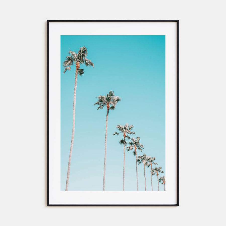 Palm Trees Photo Color No 3 Poster